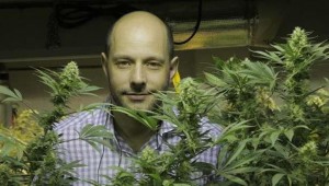 Weed Travels