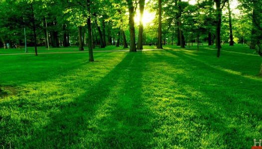 Enhance Your High: Get Lit Outside