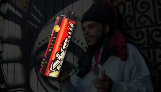 Pulsar APX Vaporizer Review